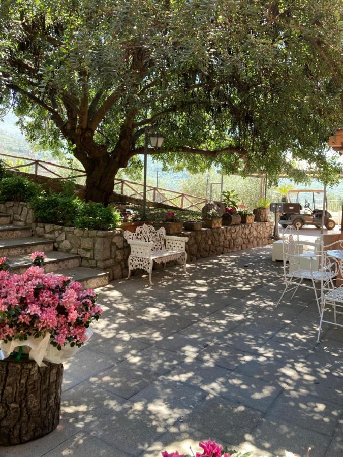 Agriturismo Nonno Luigino Vico Equense Dış mekan fotoğraf