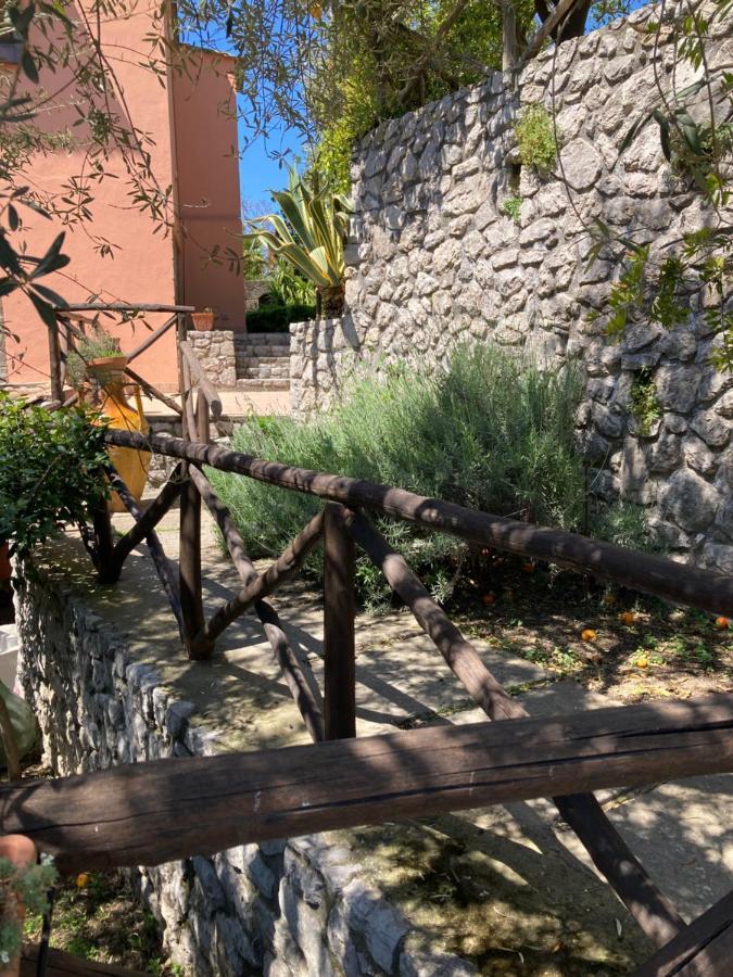 Agriturismo Nonno Luigino Vico Equense Dış mekan fotoğraf