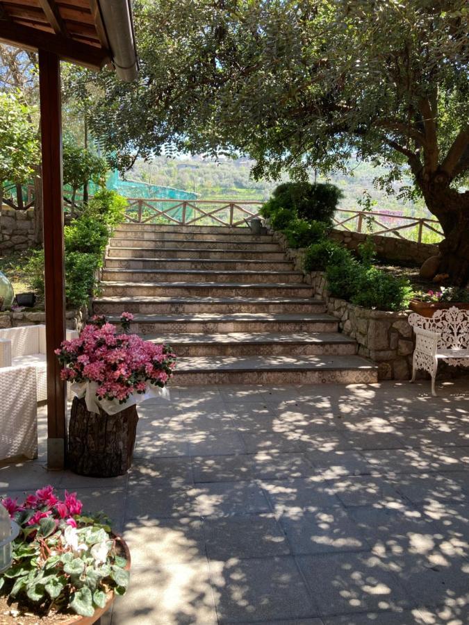 Agriturismo Nonno Luigino Vico Equense Dış mekan fotoğraf